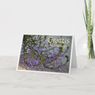 Grattis på födelsedagen CC0513 Greeting Card