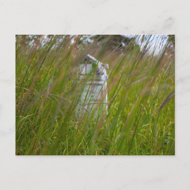 Grave, Smith Cemetery State Nature Preserve, Ohio Postcard (Front)