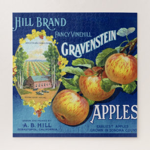Gravenstein Apples 20x20 Jigsaw Puzzle