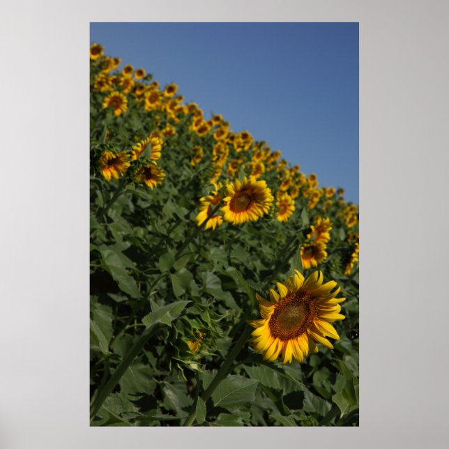 Gravity Poster (Front)