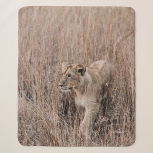 GRAY AND BROWN LION SURROUNDED BY BROWN GRASS SHERPA BLANKET