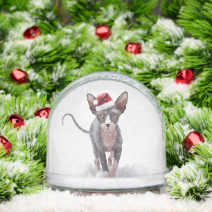 Gray and White Sphynx Cat Christmas Snowglobe
