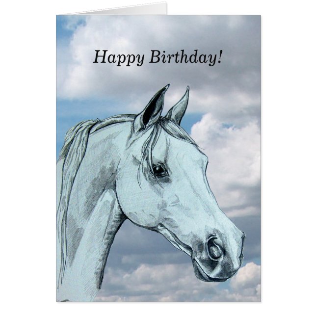 Gray Arab Horse against clouds (Front)