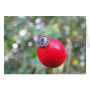 Gray card skirt, blank