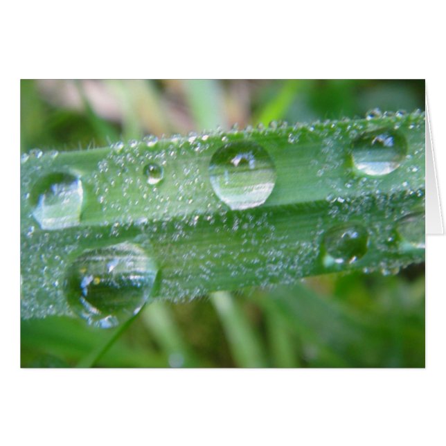 Gray card with water drop, blank (Front Horizontal)