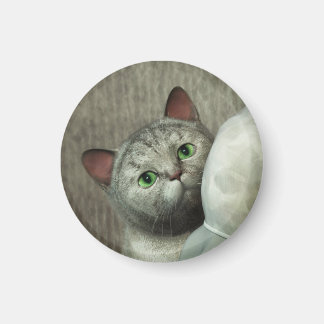 Gray Cat 1 Magnet