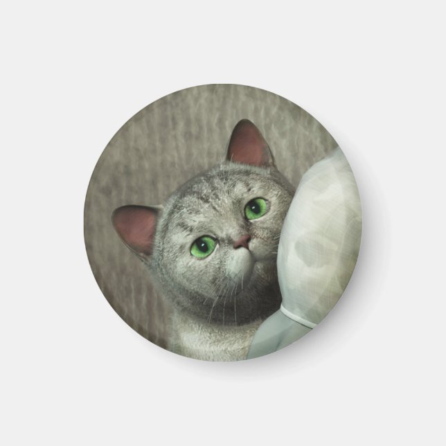 Gray Cat 1 Magnet (Front)