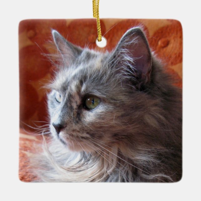 Gray Cat on Coach Ceramic Ornament (Front)