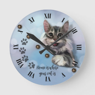Gray cat peeking out of pocket round clock
