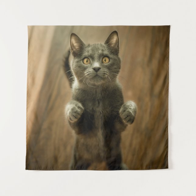 GRAY CAT STANDING IN TWO FEET TAPESTRY (Front)