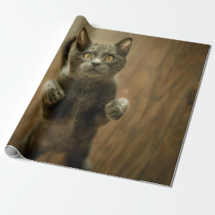 GRAY CAT STANDING IN TWO FEET WRAPPING PAPER