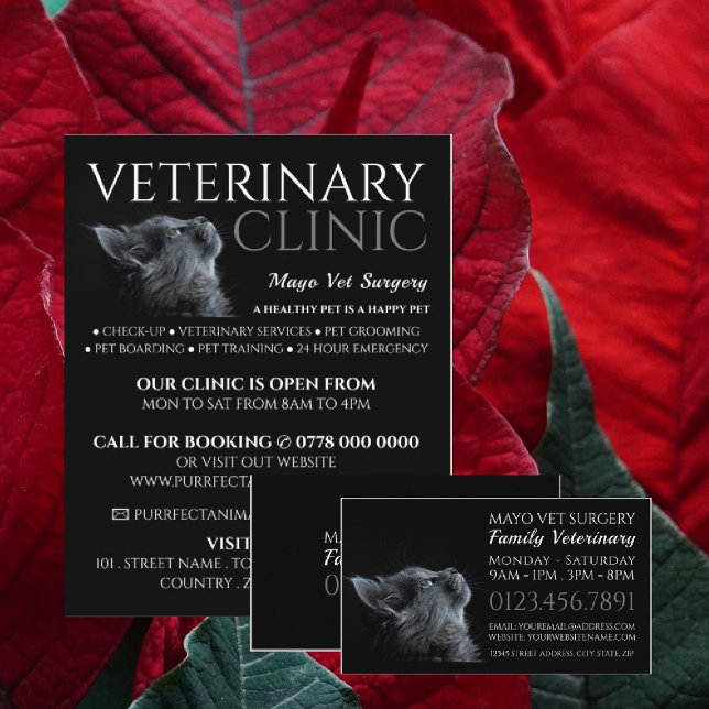 Gray Cat, Veterinarian, Veterinary Service Flyer (Creator Uploaded)
