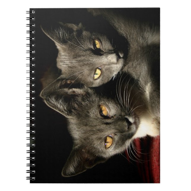 Gray Cats Photo Photo Notebook (80 Pages B&W) (Front)