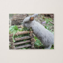 gray cheek Easter bunny 5 puzzles
