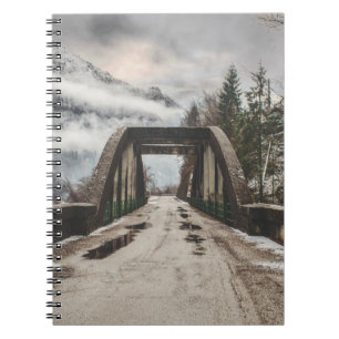 GRAY CONCRETE ARCH BRIDE BESIDE LEAFLESS TREE NEAR NOTEBOOK