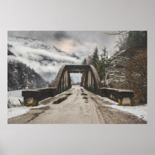 GRAY CONCRETE ARCH BRIDE BESIDE LEAFLESS TREE NEAR POSTER