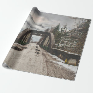 GRAY CONCRETE ARCH BRIDE BESIDE LEAFLESS TREE NEAR WRAPPING PAPER