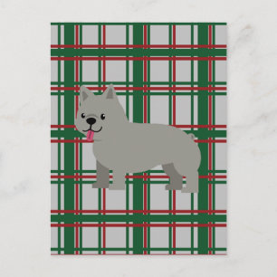 Gray French Bulldog, Christmas Plaid Postcard