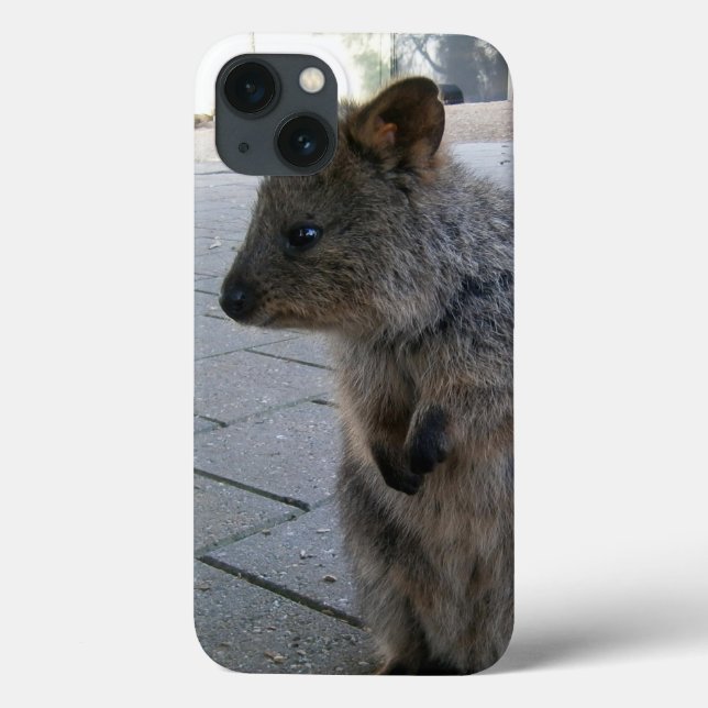 Gray Furry Australian Quokka, Case-Mate iPhone Case (Back)