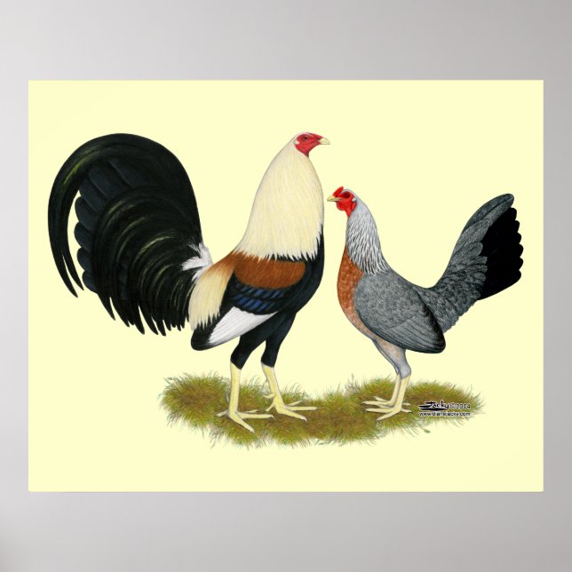 Gray Game Fowl Pair Poster (Front)