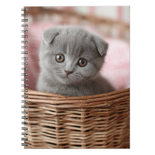 Gray Kitten in Basket Notebook