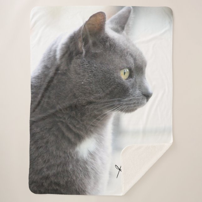 Gray Kitty Cat Sherpa Blanket (Front)