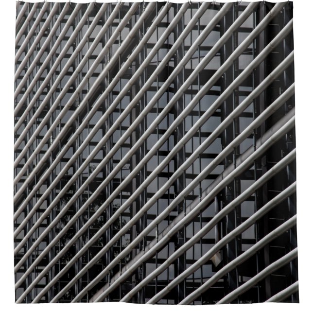 Gray metal frame shower curtain (Front)