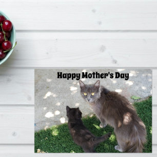 Gray Mother Cat & Black Kitten Happy Mother's Day Card