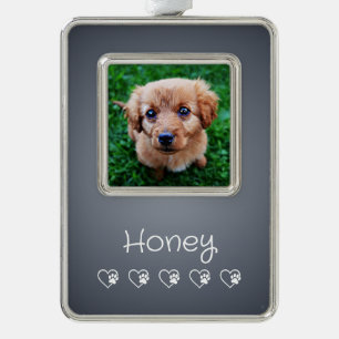 Gray Pet Photo Ornament - Frame, Pet Portrait