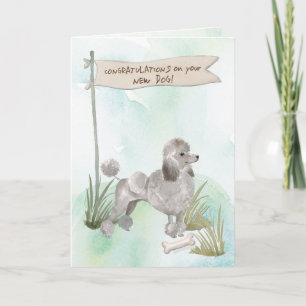 Gray Poodle Congratulations on New Dog Card