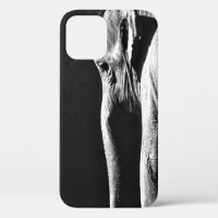 GRAY SCALE PHOTO OF ELEPHANT
