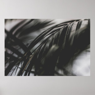 GRAY SCALE PHOTO OF PLANT LEAVES POSTER