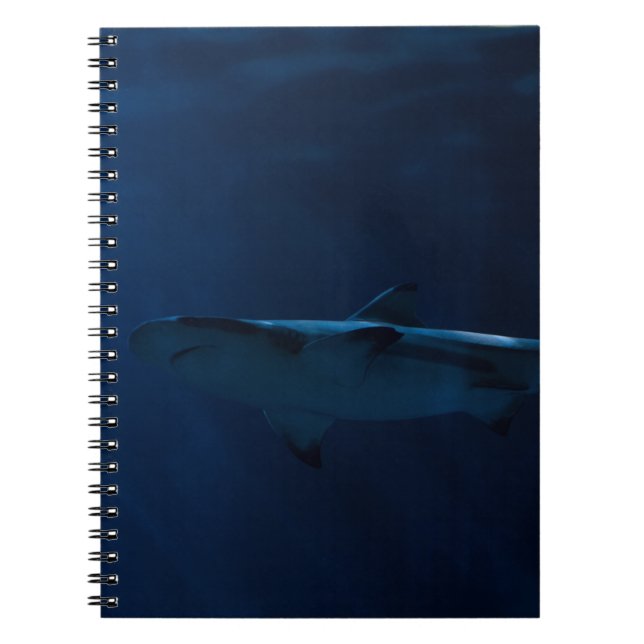 GRAY SHARK IN BODY OF WATER NOTEBOOK (Front)