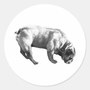 Gray Sniff, Happy Mark Classic Round Sticker