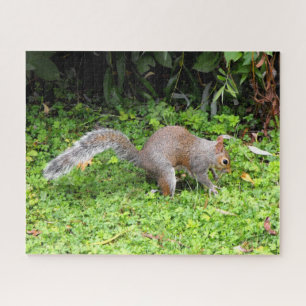 Gray squirrel jigsaw puzzle