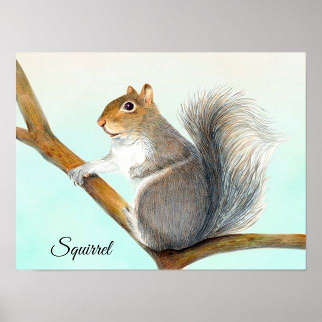Gray Squirrel Pencil Drawing Artwork Poster (Front)