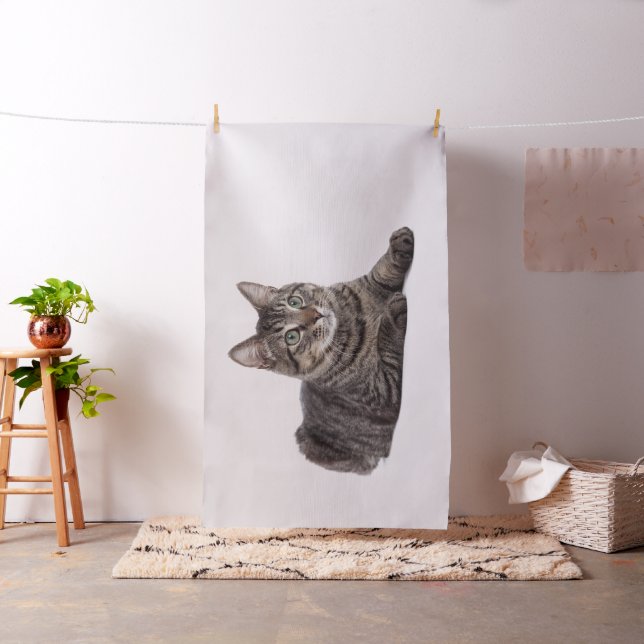 Gray Tabby Cat Fabric (In Situ)
