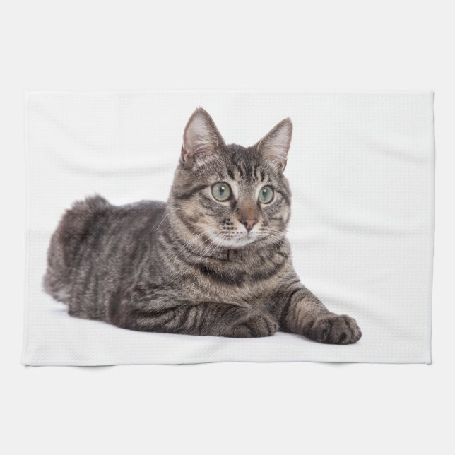 Gray Tabby Cat Tea Towel (Horizontal)