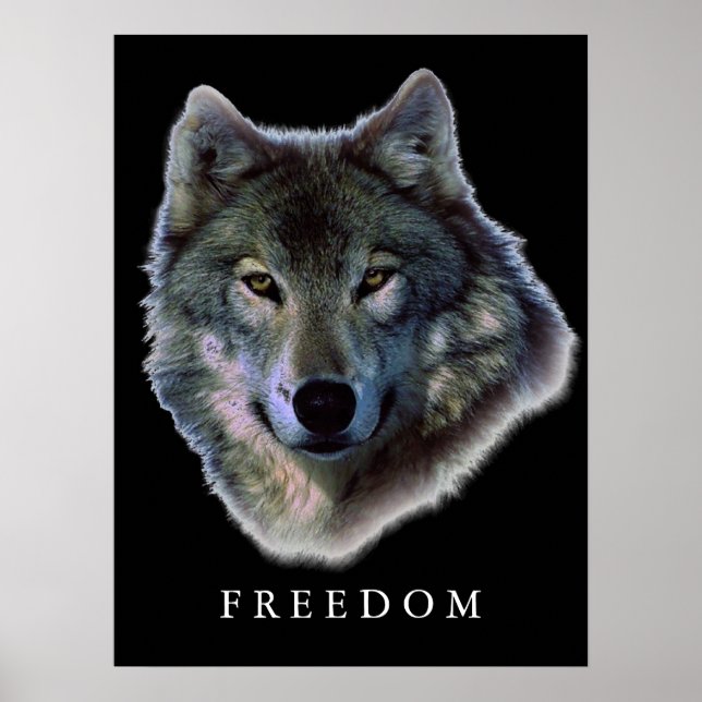 Gray Wolf Motivational Freedom Poster Print (Front)