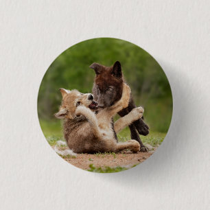 Gray Wolf Pups Wrestling 3 Cm Round Badge