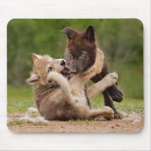 Gray Wolf Pups Wrestling Mouse Pad