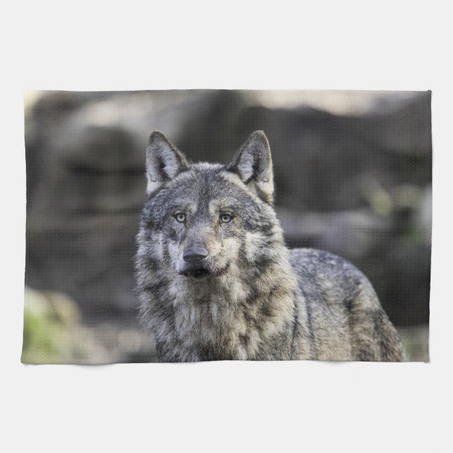 Gray Wolf Tea Towel (Horizontal)