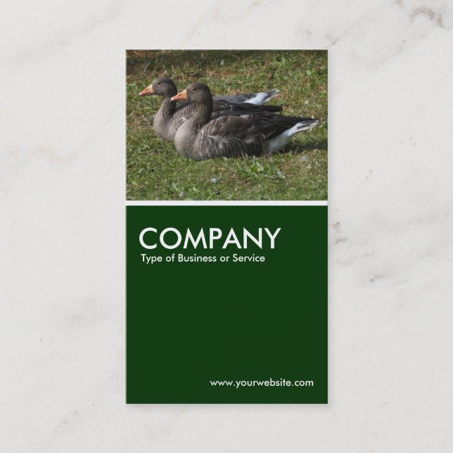 Graylag Geese - Dark Green Business Card (Front)