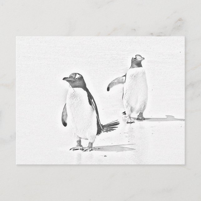 Grayscale Colouring Penguins Antarctic Postcard (Front)