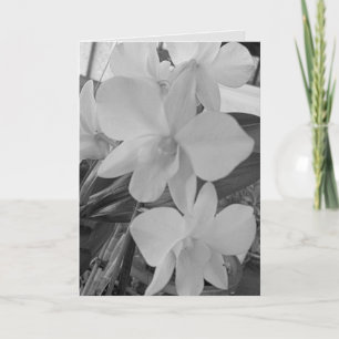 Grayscale Orchids on a Sympathy Card