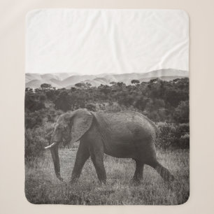 GRAYSCALE PHOTO OF GRAY ELEPHANT NEAR TREES SHERPA BLANKET