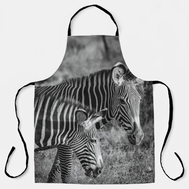 GRAYSCALE PHOTO OF ZEBRAS APRON (Front)