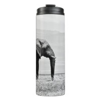GRAYSCALE PHOTOGRAPHY OF ELEPHANT