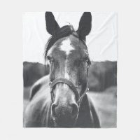 GRAYSCALE PHOTOGRAPHY OF HORSE