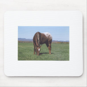 Grazing Appaloosa Mouse Pad